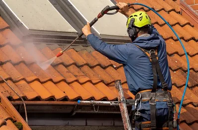 Démoussage et hydrofuge de toiture à Bordes